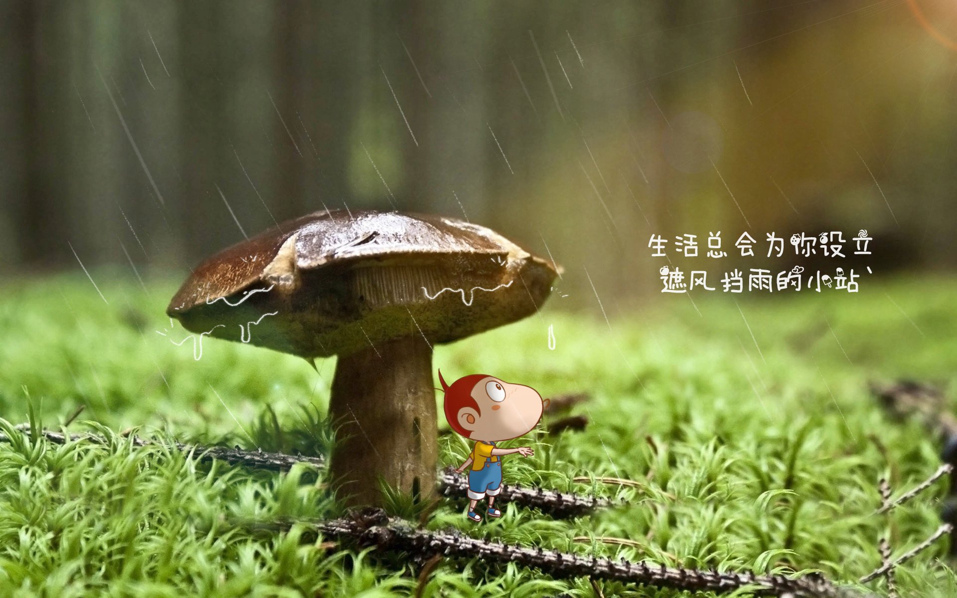 开云官方-季后赛破纪录：斯托亚科维奇在一场比赛中抢断多达6次，成为“防守铁闸”！
