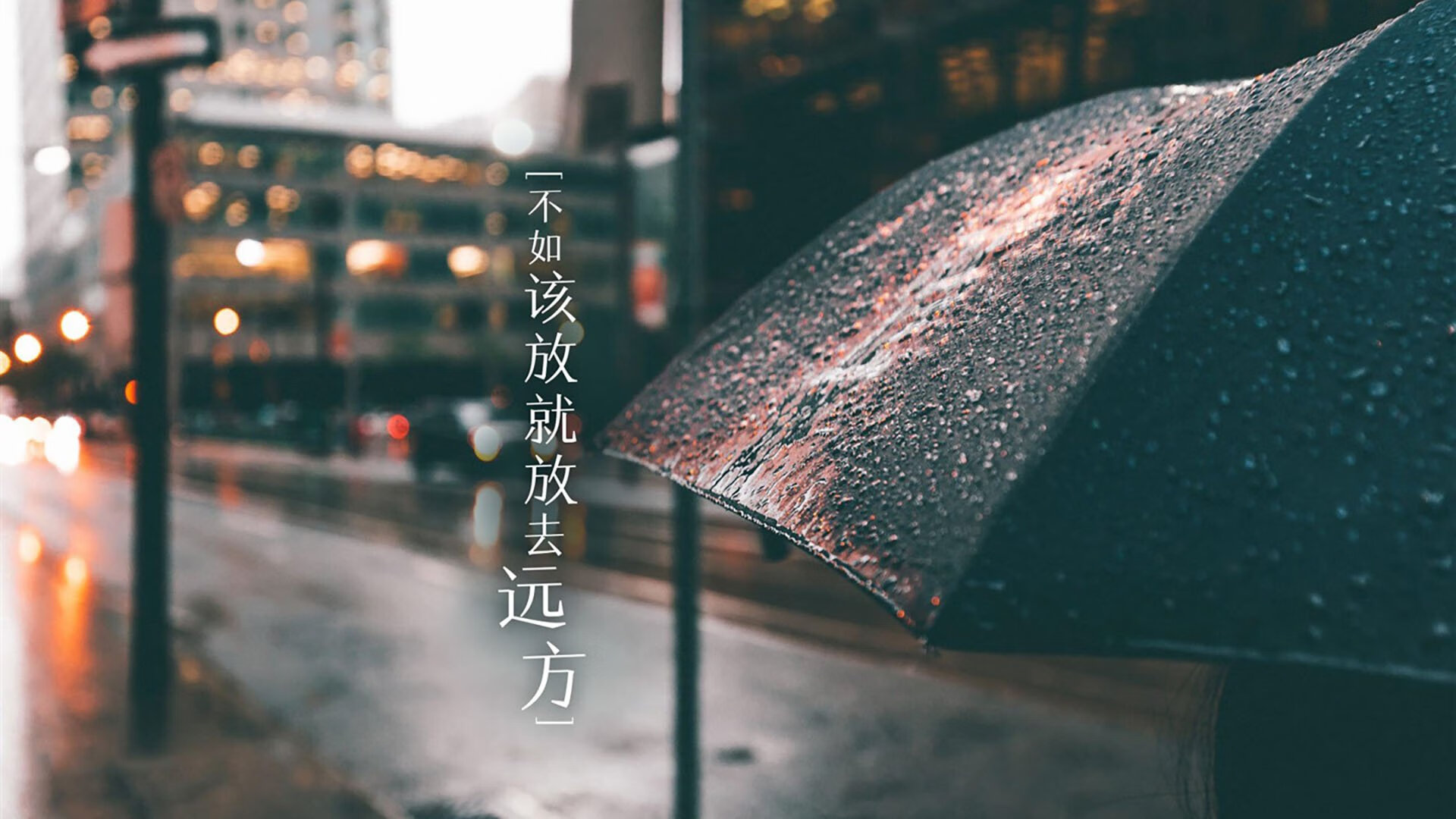 kaiyun.com-法甲精彩片段，球迷反应热烈，法甲集锦视频回放