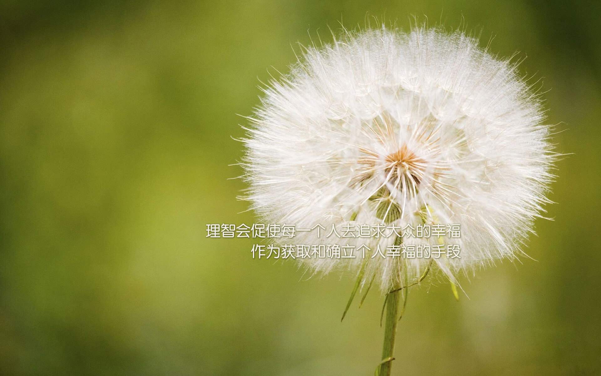 特色篮球主题公园成为城市文化新地标，赋能体育+旅游新业态，篮球公园宣传海报