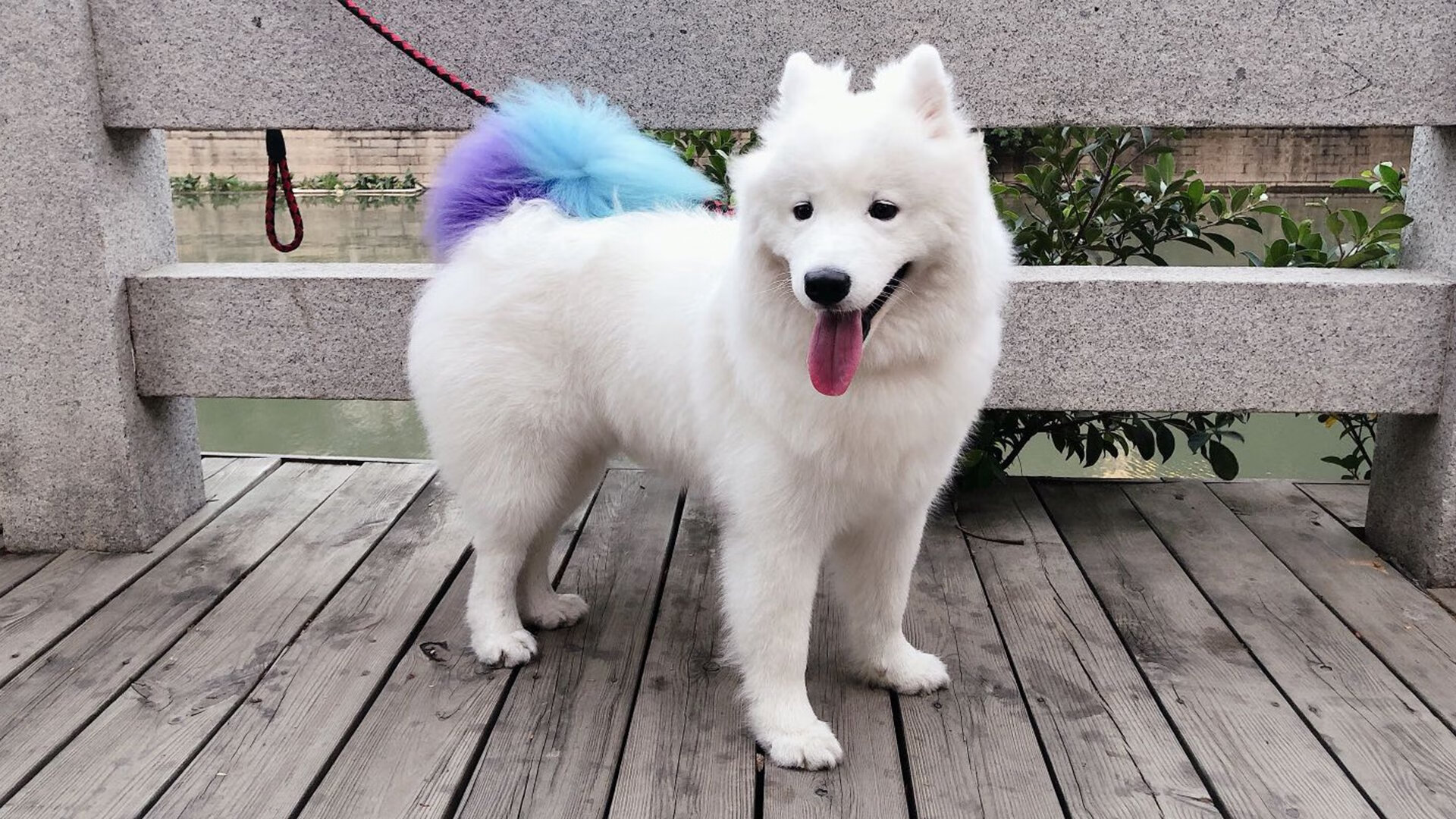 开云平台-中超联赛国足战败 球迷呼吁加强训练，中国足协中超新政