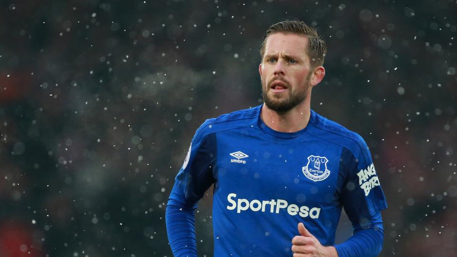 海湾者后防线多次关键解围,海湾怎么解释