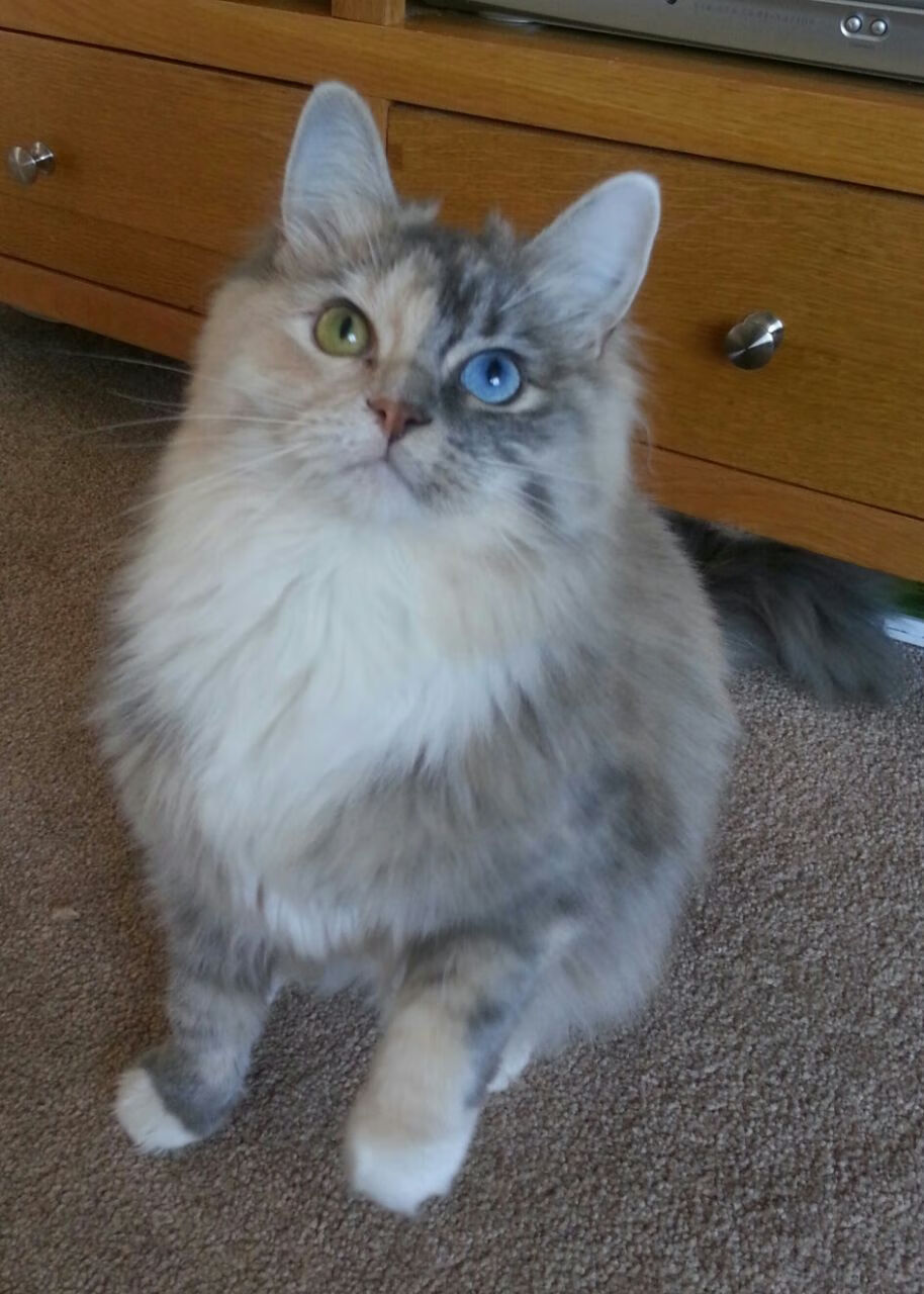 中超夏窗引援名单曝光多队目标锁定日韩球员,2021中超夏窗转会时间