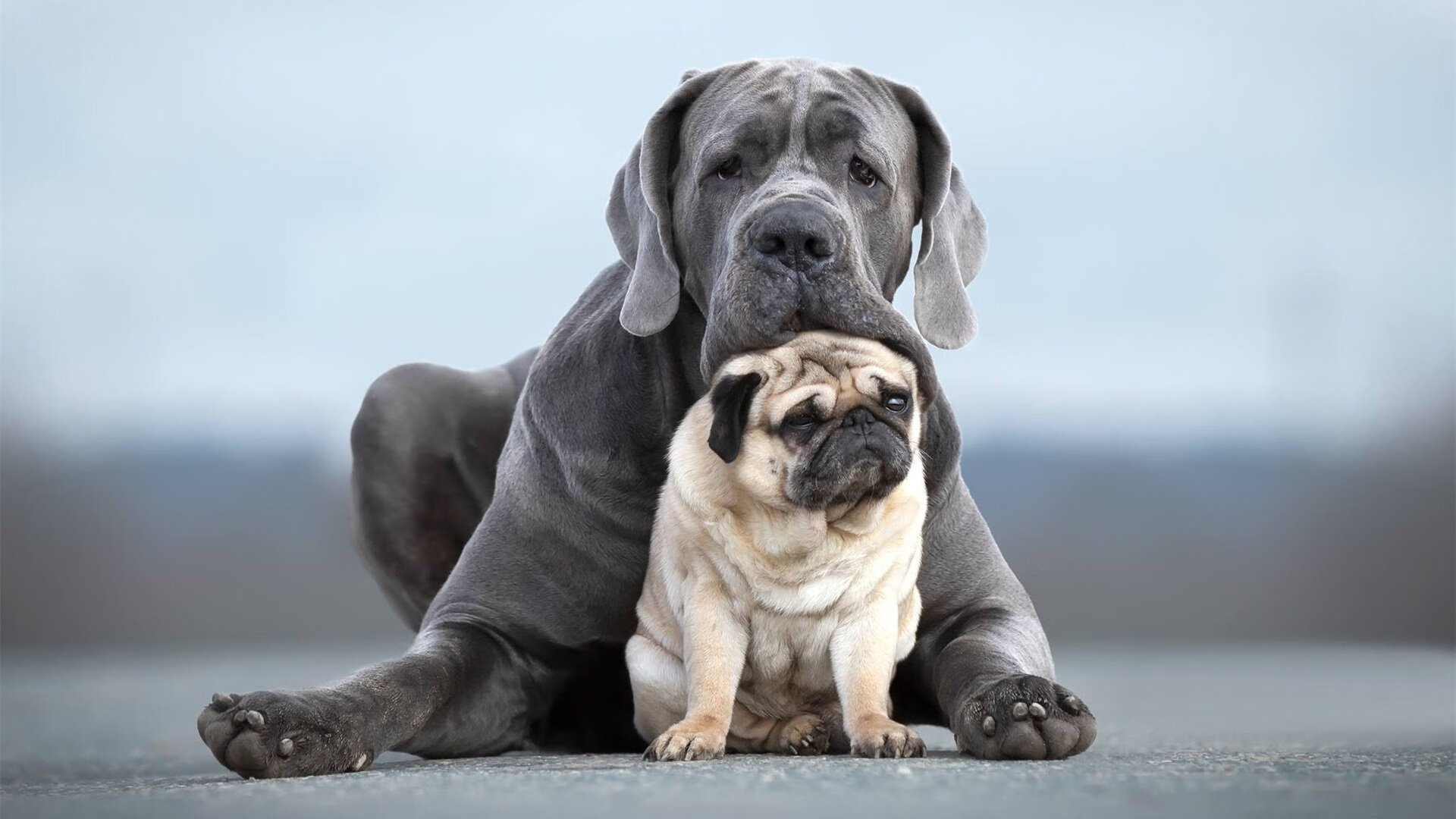 国家体育文化中心发布体育主题展演活动时间表，国家体育场演出信息