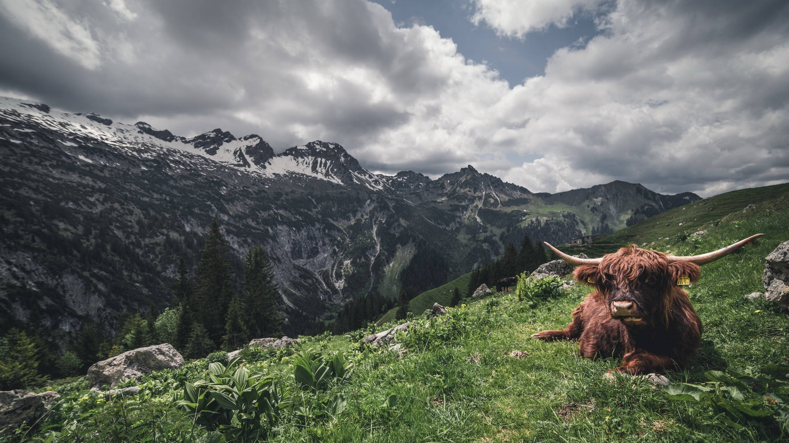 开云官方网站-国家队优化球员轮换机制提升整体体能管理效率，轮换球员和角色球员