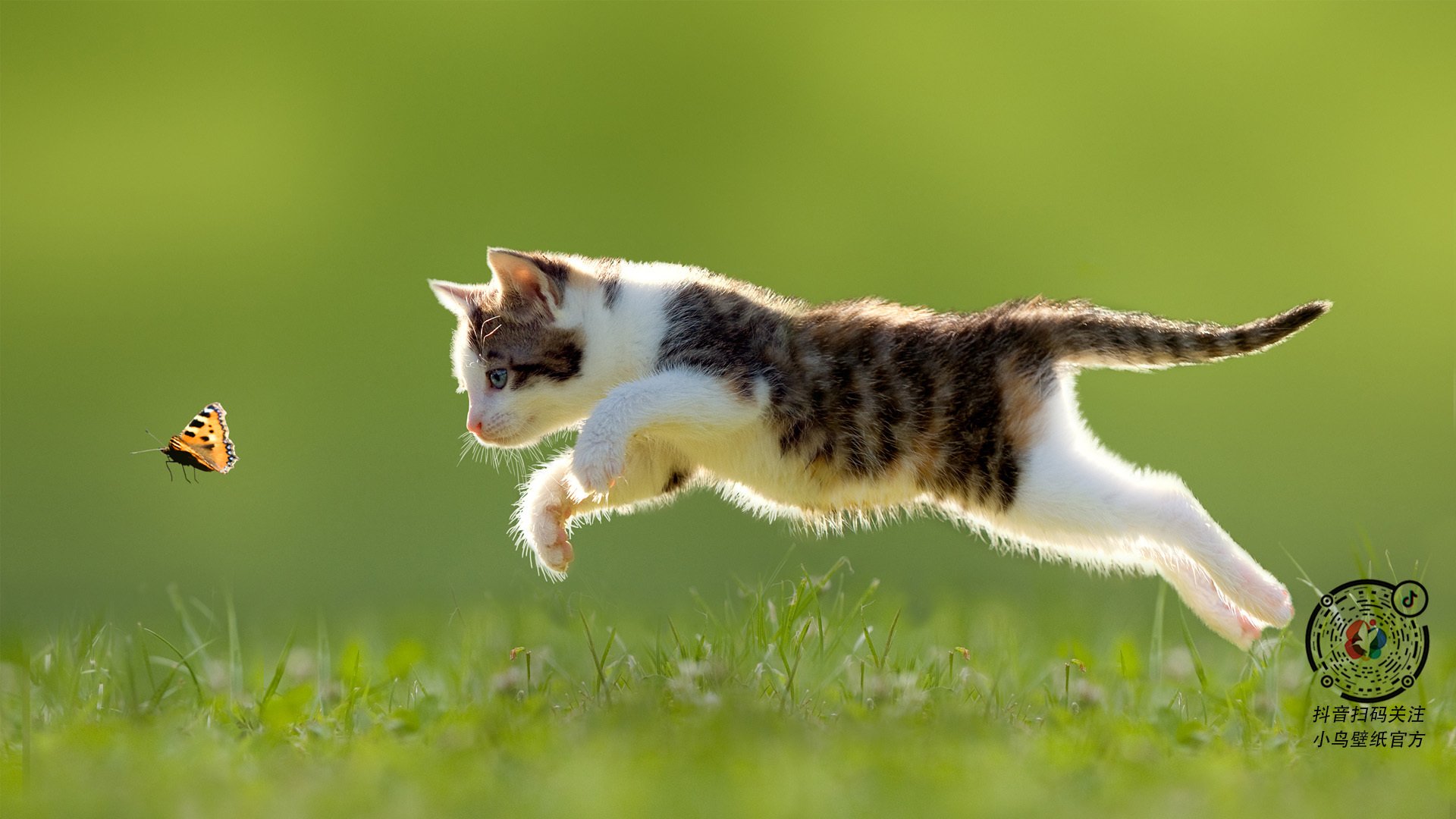 田径裁判规范化培训项目在全国铺开，田径裁判知识