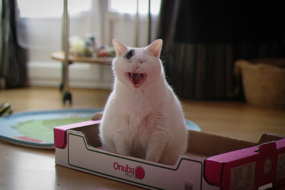 篮球联赛宣传活动覆盖多个城市地标，篮球赛活动宣传怎么写